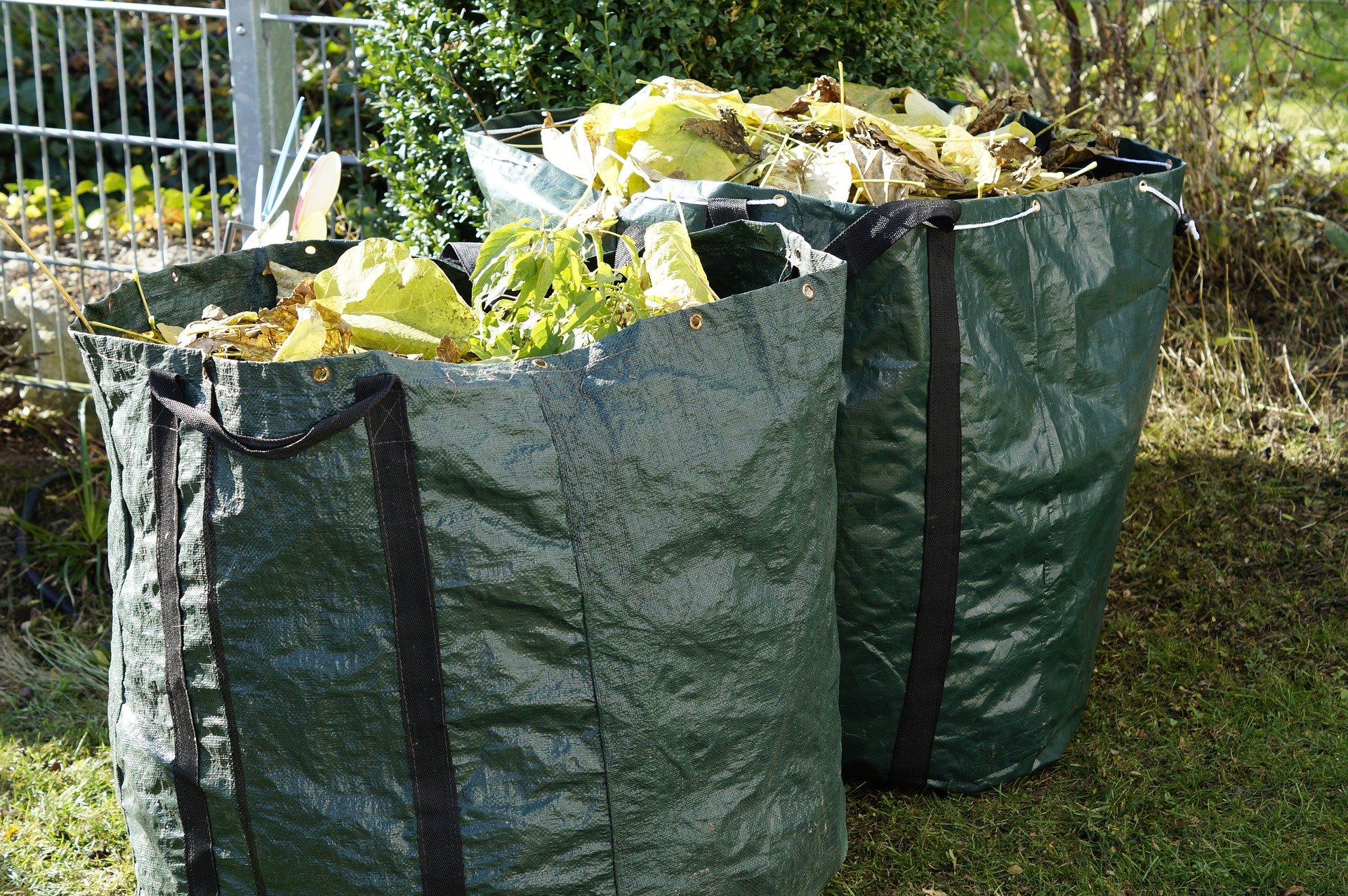 Guide To Cheap Skip Hire for Garden Waste Kent Skips